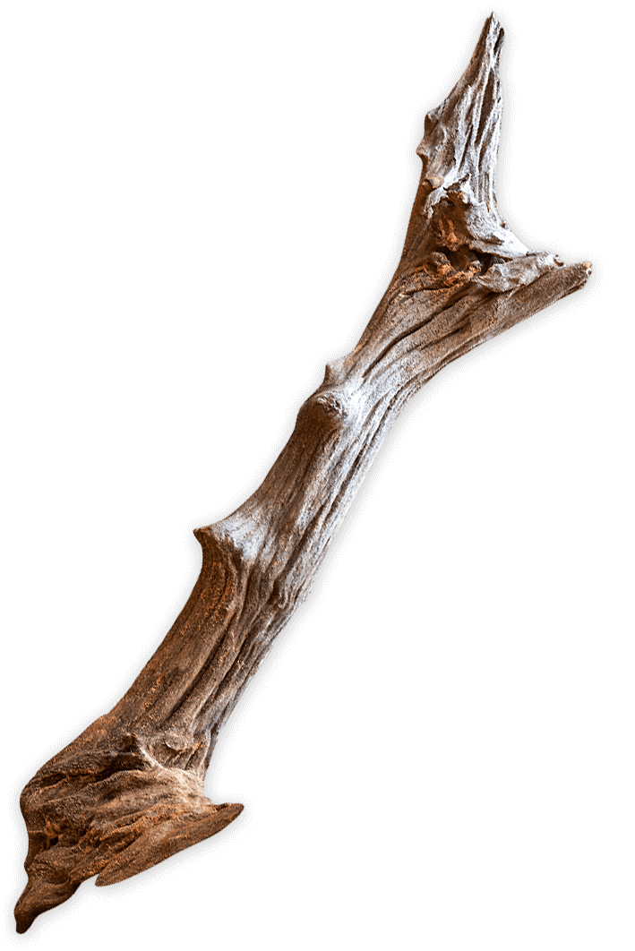 Miko destilerija - Čista rakija od dunje